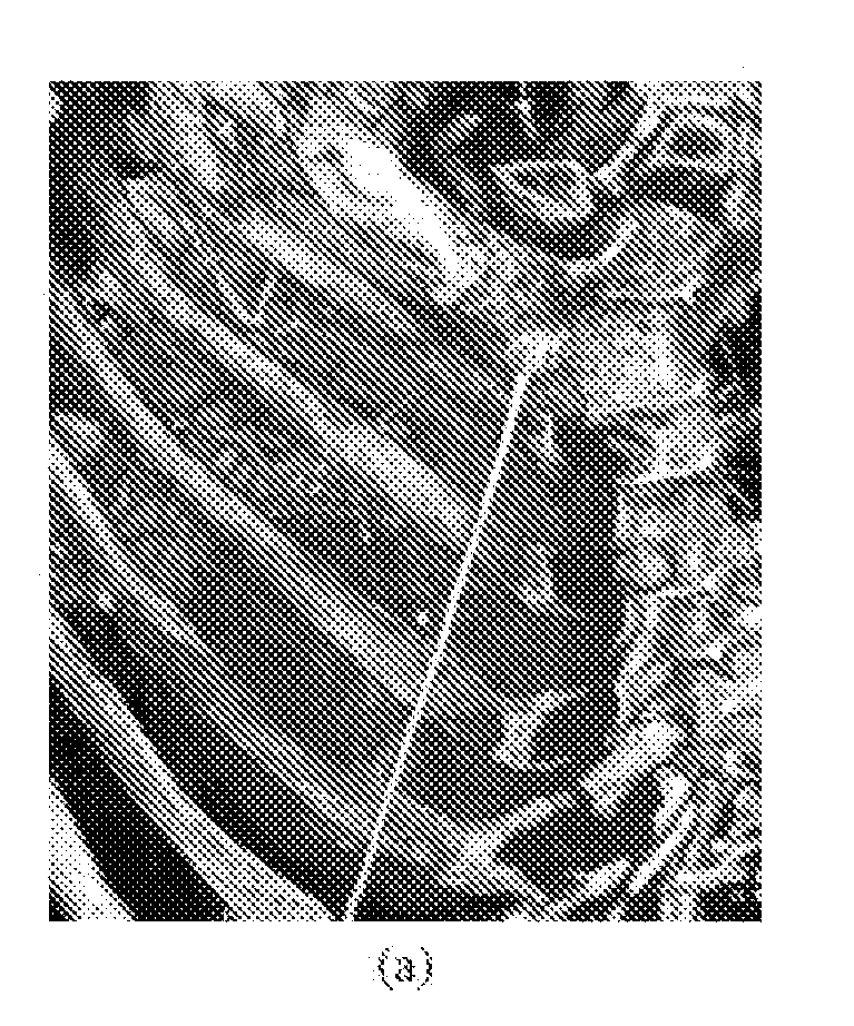 Method and System for Segmentation and Removal of Pulmonary Arteries, Veins, Left Atrial Appendage