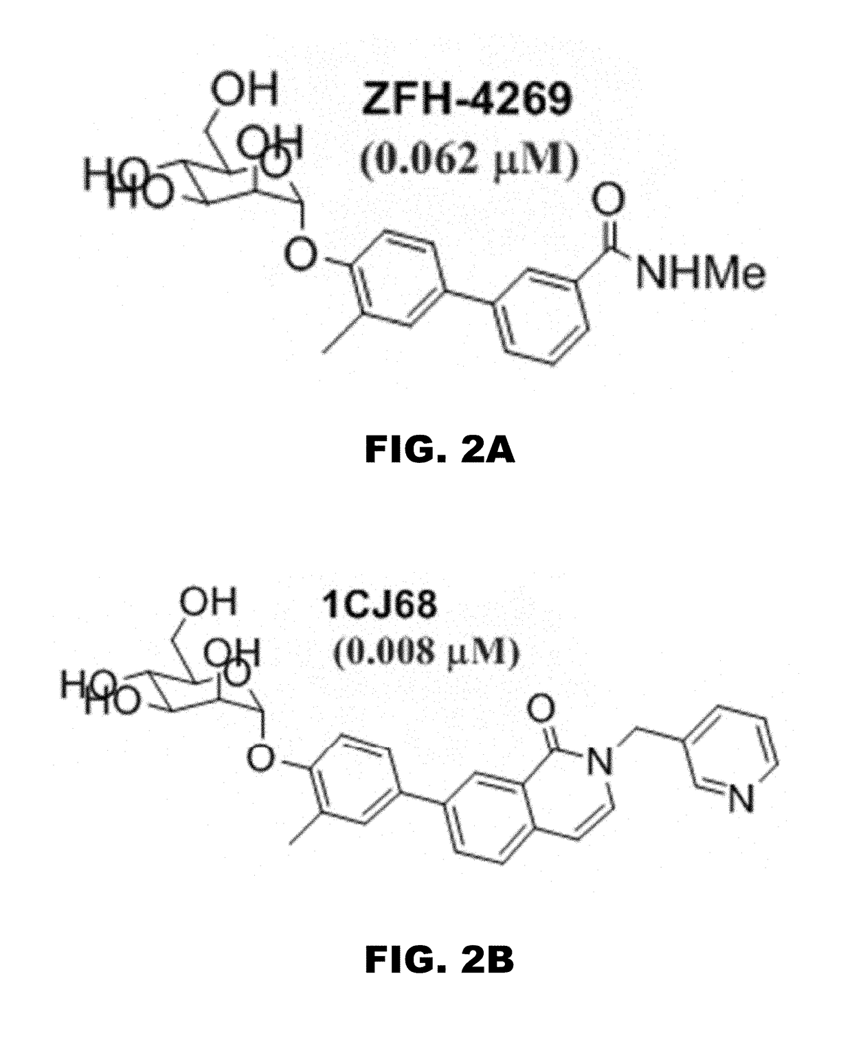 Compounds and methods for treating bacterial infections