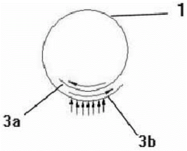 An imitation tracheal stent installed in the trachea