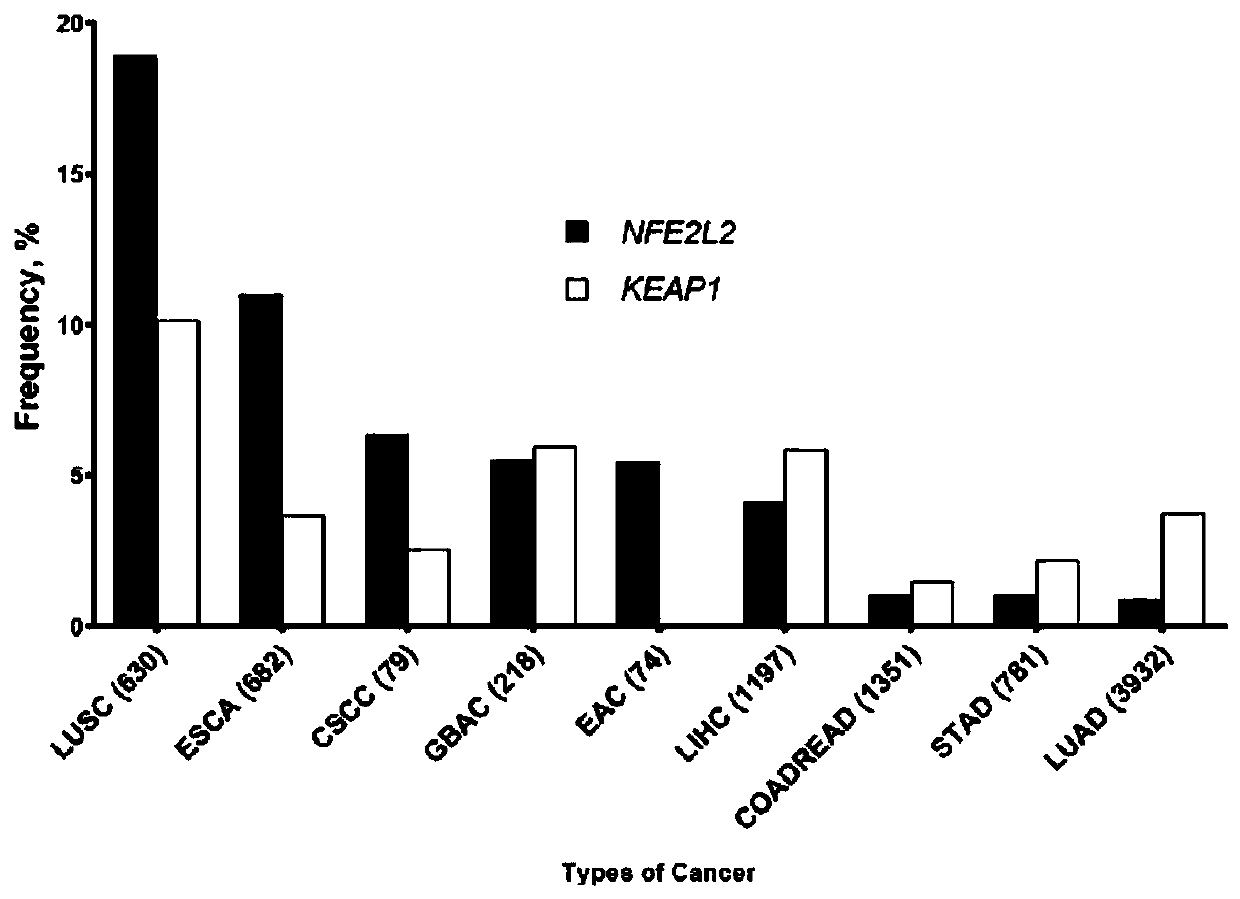 Method for immunotherapy prognosis of non-small cell lung cancer (NSCLC) patients