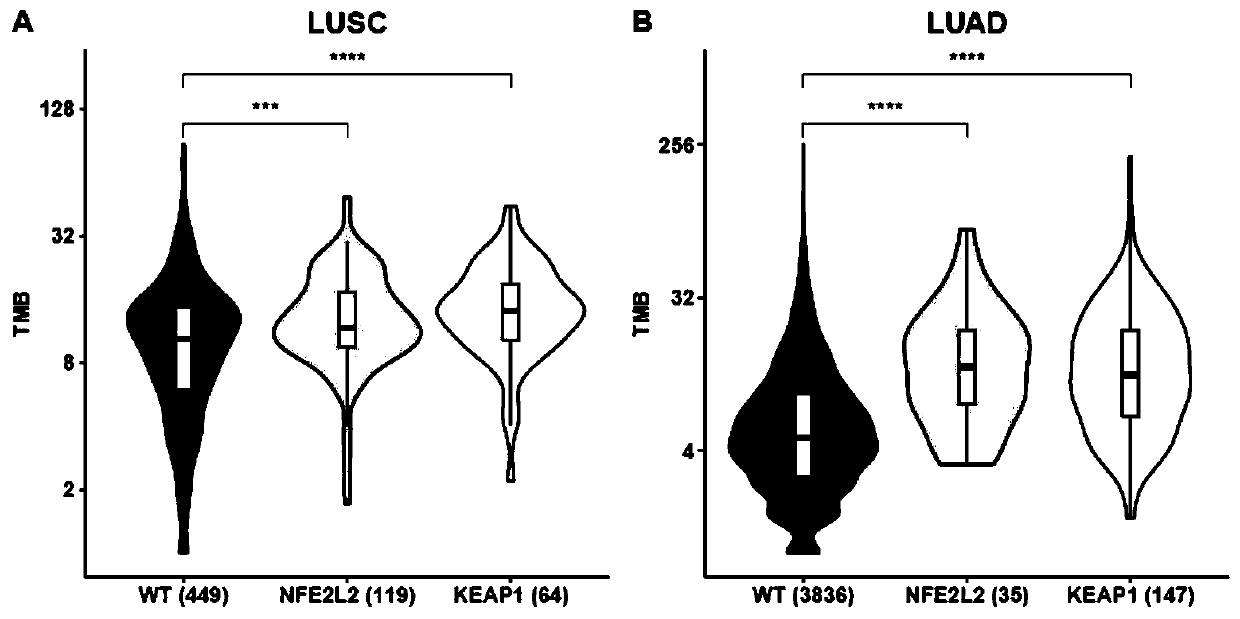 Method for immunotherapy prognosis of non-small cell lung cancer (NSCLC) patients