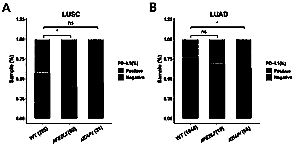 Method for immunotherapy prognosis of non-small cell lung cancer (NSCLC) patients