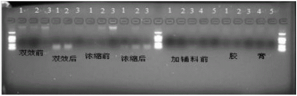 Quantitative determination method for donkey and bovine derived ingredients in colla corii asini liquid semi-finished product or finished product, composition and kit