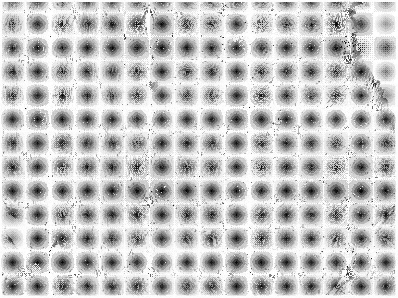 Anti-tumor effective part of traditional Chinese medicine lespedeza as well as preparation method and application thereof