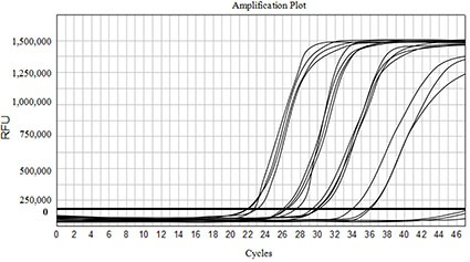 Novel coronavirus nucleic acid detection kit