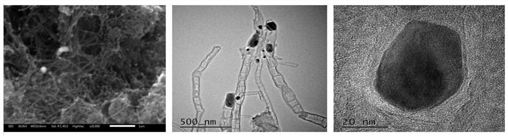 A kind of cobalt oxide/nitrogen co-doped carbon nanotube composite material and its preparation and application