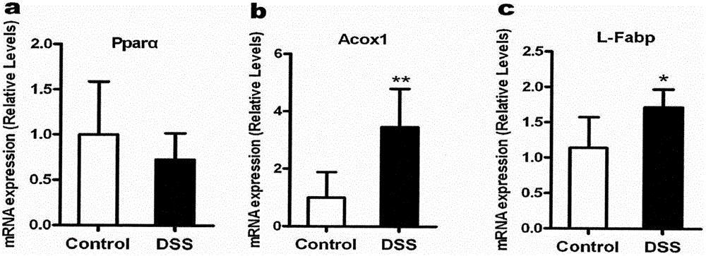 Application of PPAR alpha-UGT (peroxisome proliferator activated receptor alpha-uridine diphosphate glucuronosyl transferase) pathway inhibitor in treating inflammatory bowel diseases