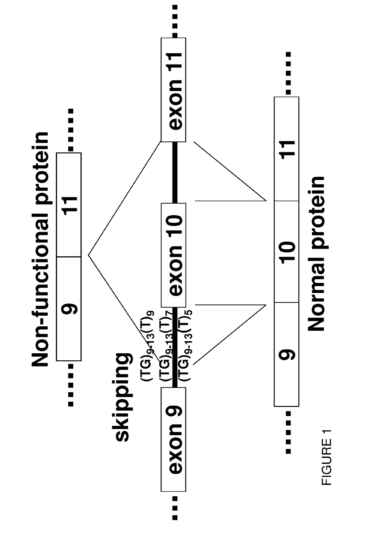 Restoration of the cftr function by splicing modulation