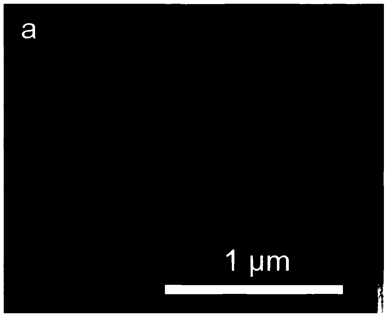 Composite proton exchange membrane and preparation method thereof