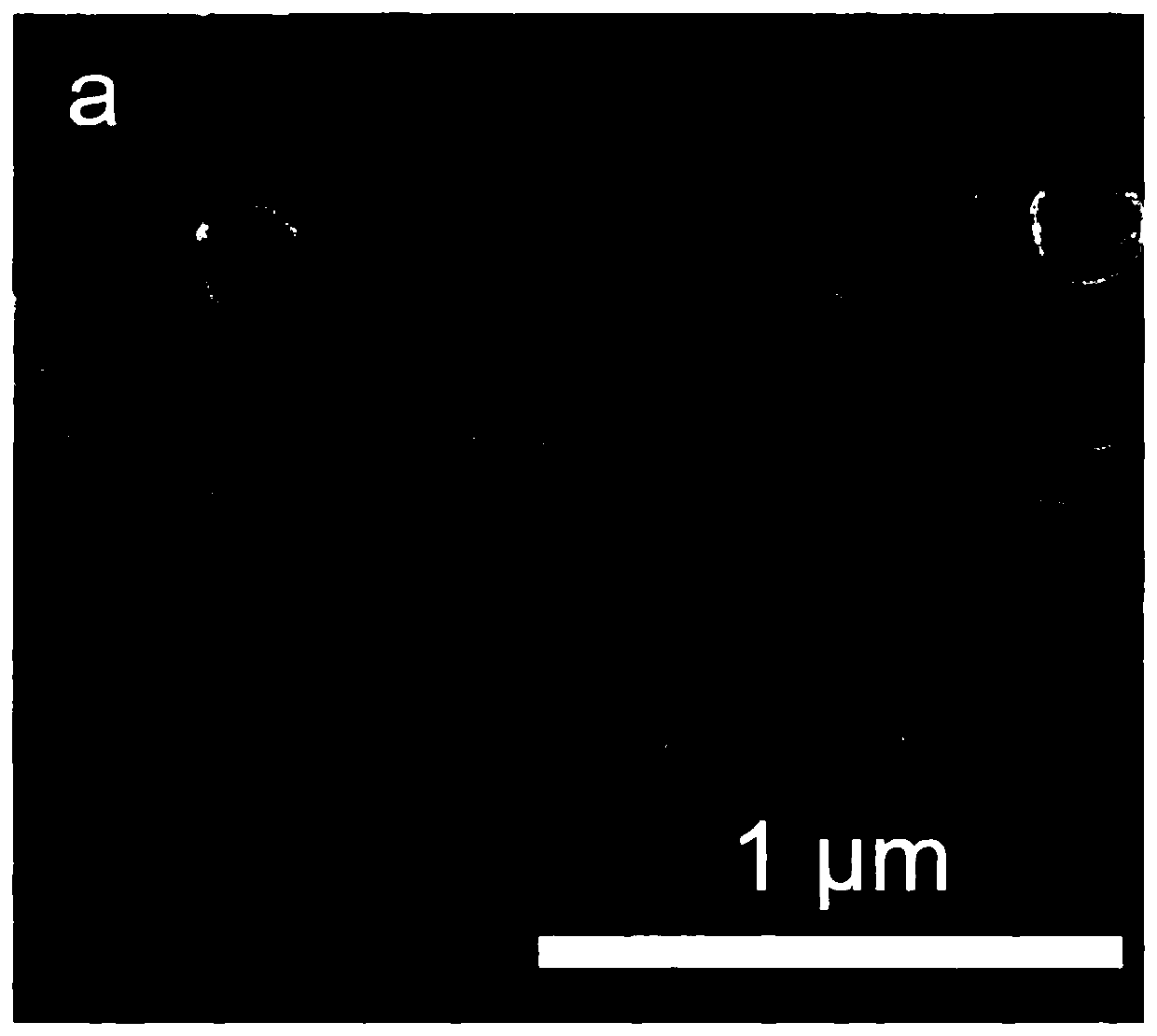 Composite proton exchange membrane and preparation method thereof