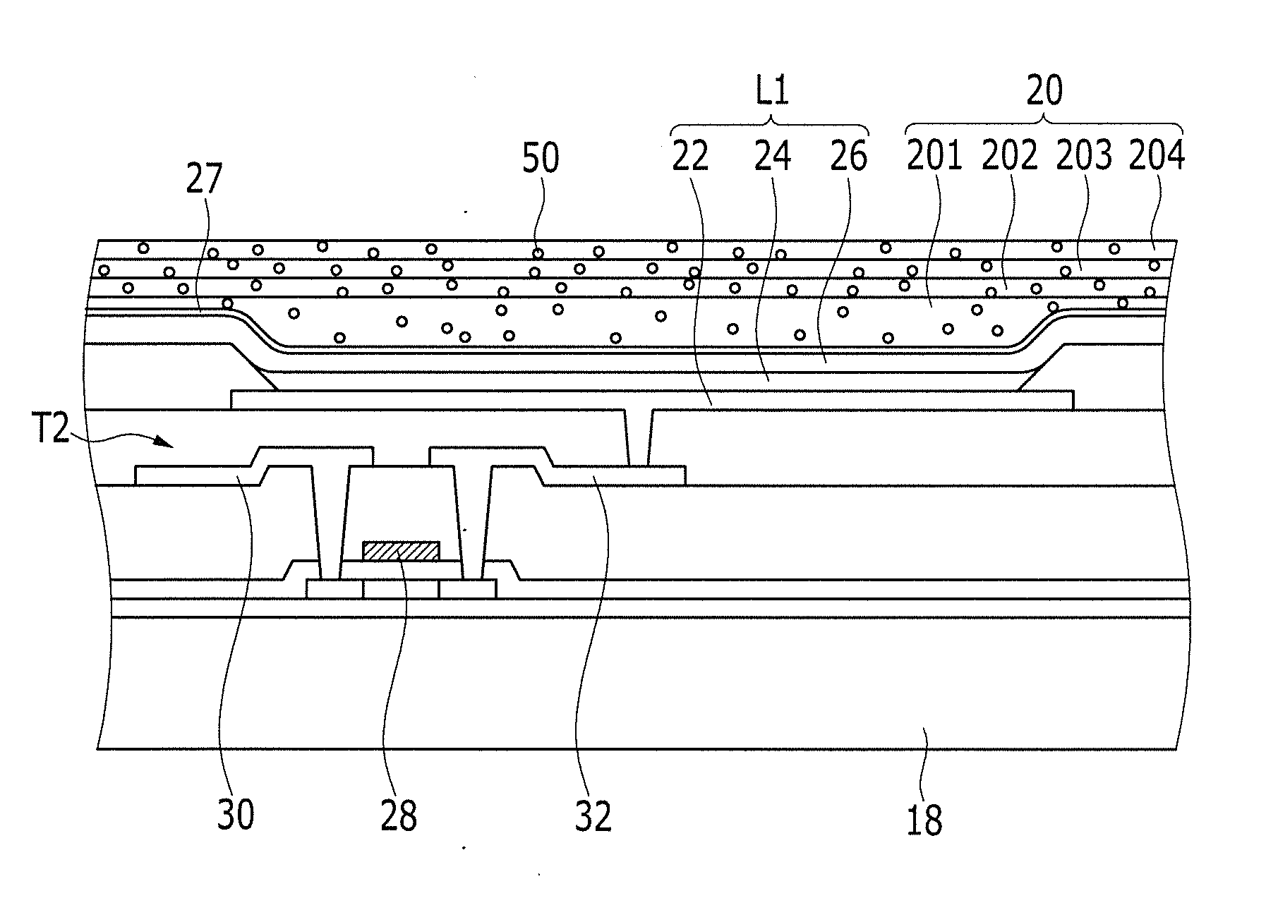 Organic light emitting diode display