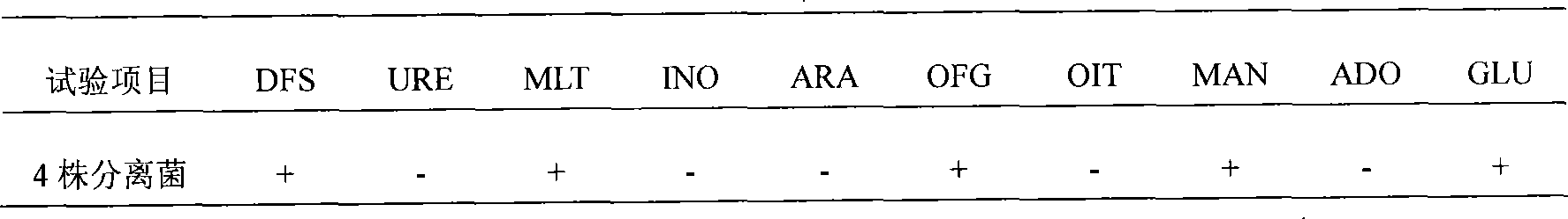 Reagent for detection of pathogenic hydrophila gingivalis and detection method thereof