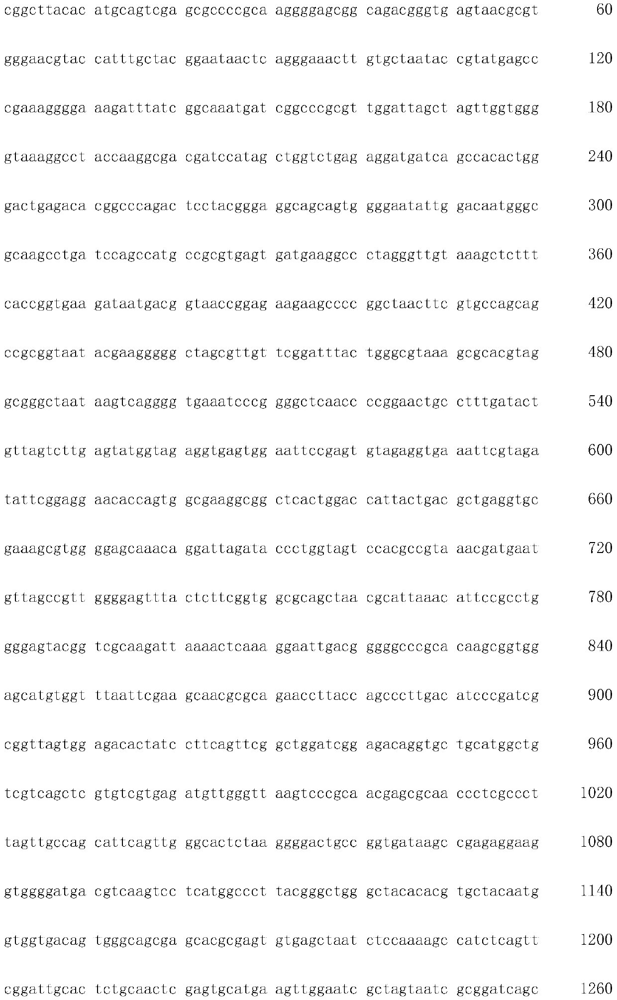 Ochrobactrum sp. ZTS-1 strain and application thereof