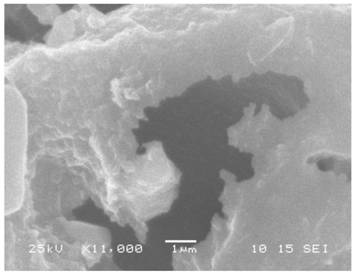 A method for efficiently removing quinclorac pollutants in water bodies