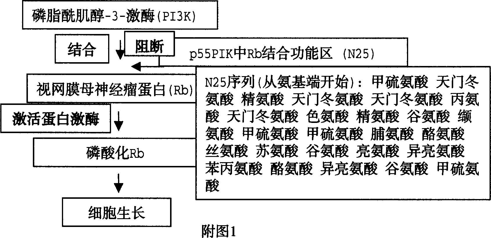 Obtainment of cell growth inhibiting polypeptide and its usage