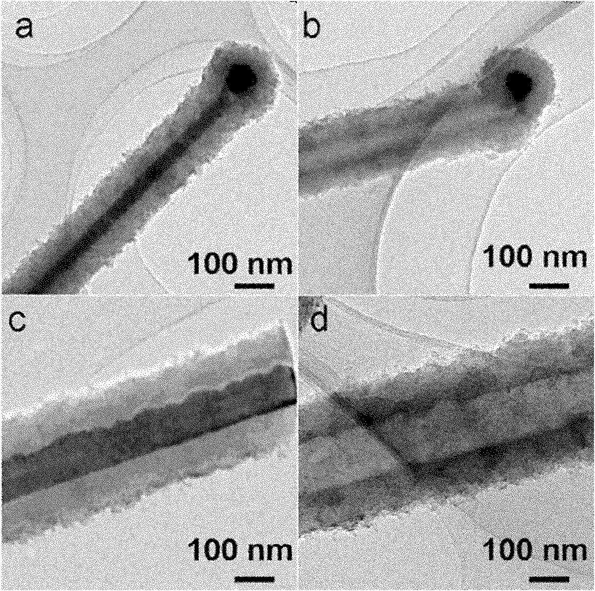 Preparation method of ZnS/Si nuclear-shell nanowires or nanobelts and polycrystal Si tubes