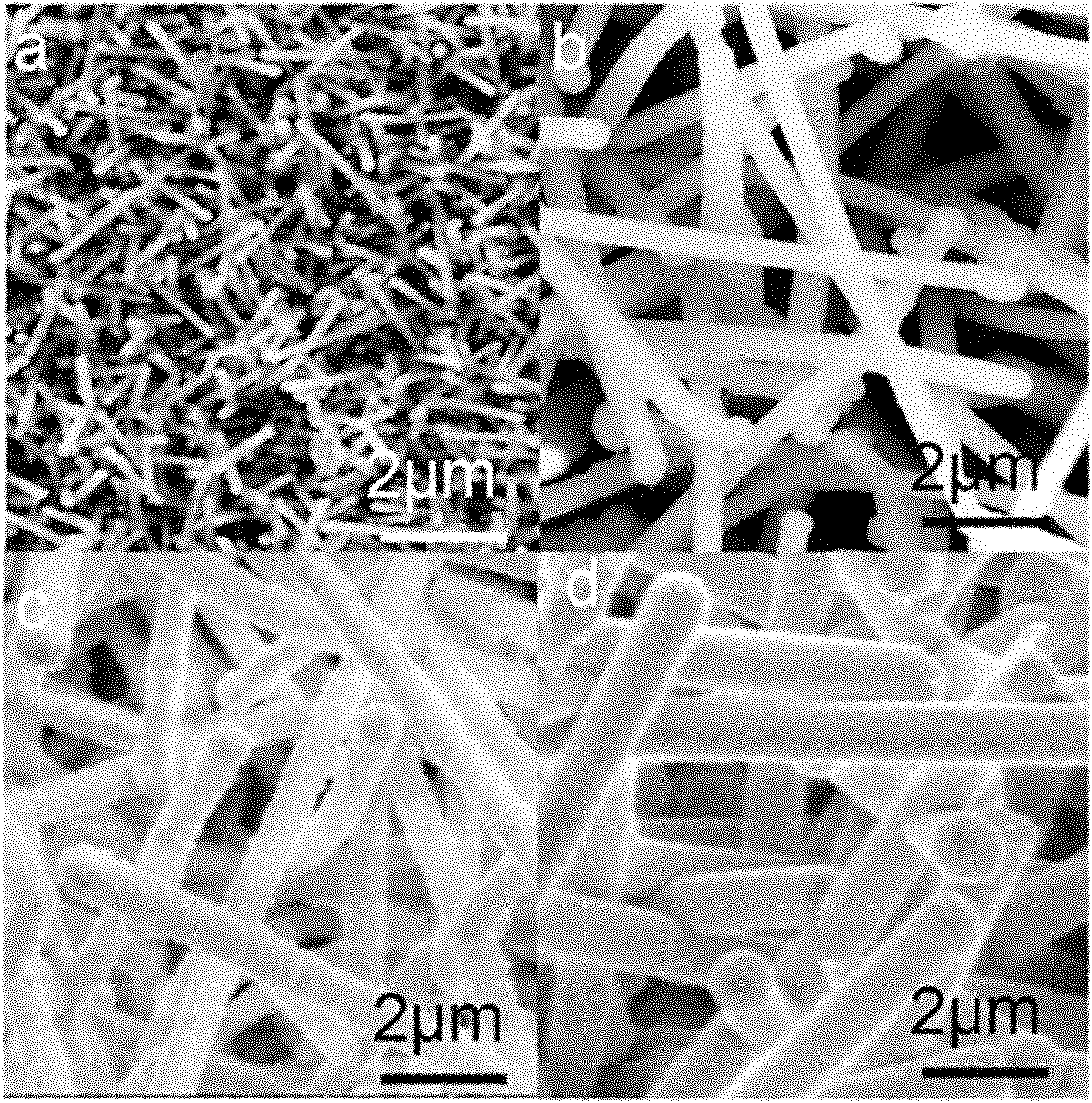 Preparation method of ZnS/Si nuclear-shell nanowires or nanobelts and polycrystal Si tubes