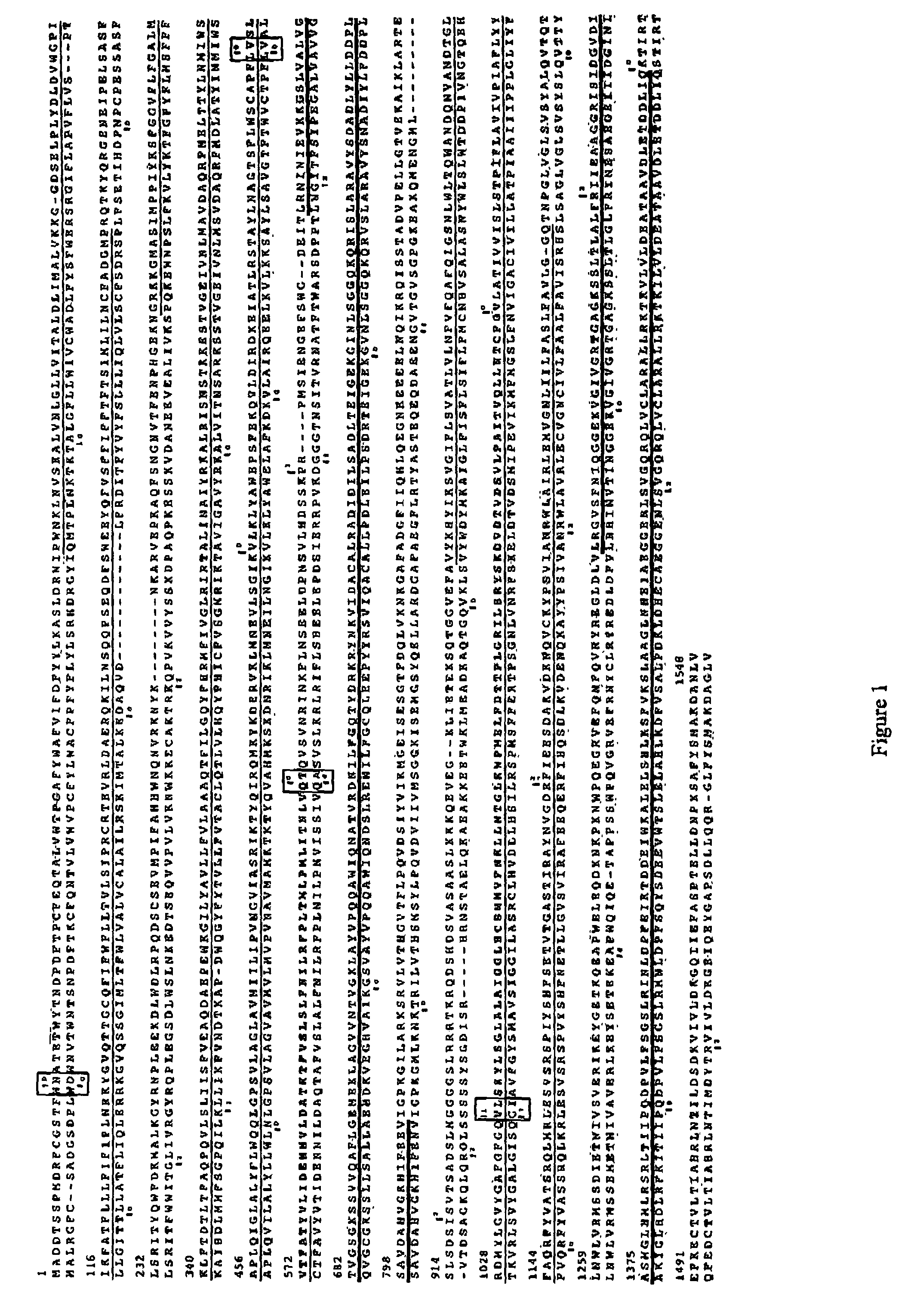 Multidrug resistance proteins in <i>Drosophila </i>and <i>Anopheles</i>