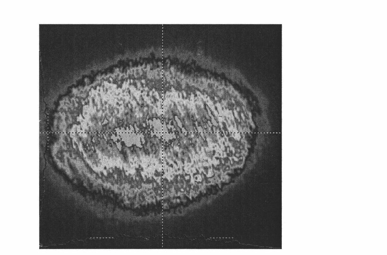 Device for measuring thermal diffusivity