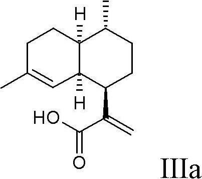 Process for the production of artemisinin intermediates