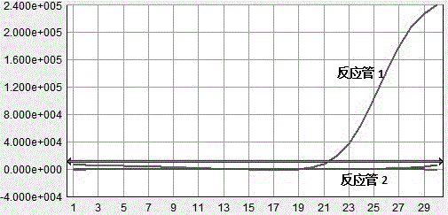 Constant-temperature detection method and kit for instantly detecting listeria monocytogenes