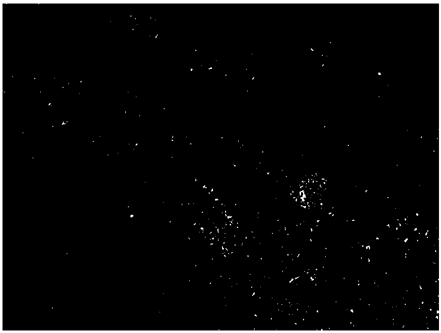 A kind of cleaning method before coating on lbo crystal surface