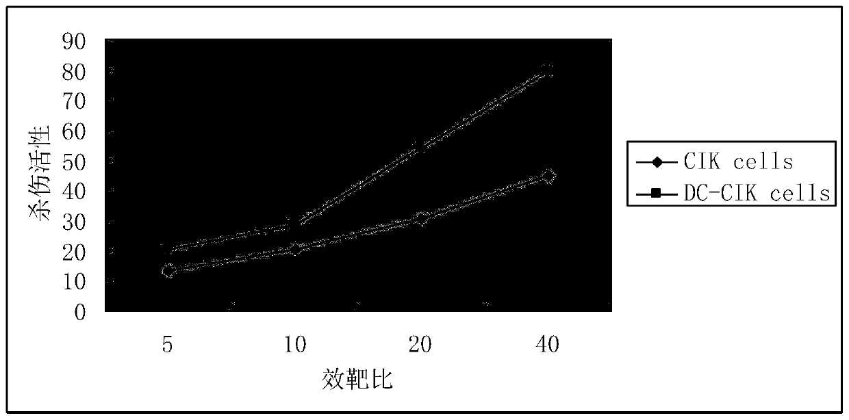 DC-CIK cell culture medium, DC-CIK cell culture method and application