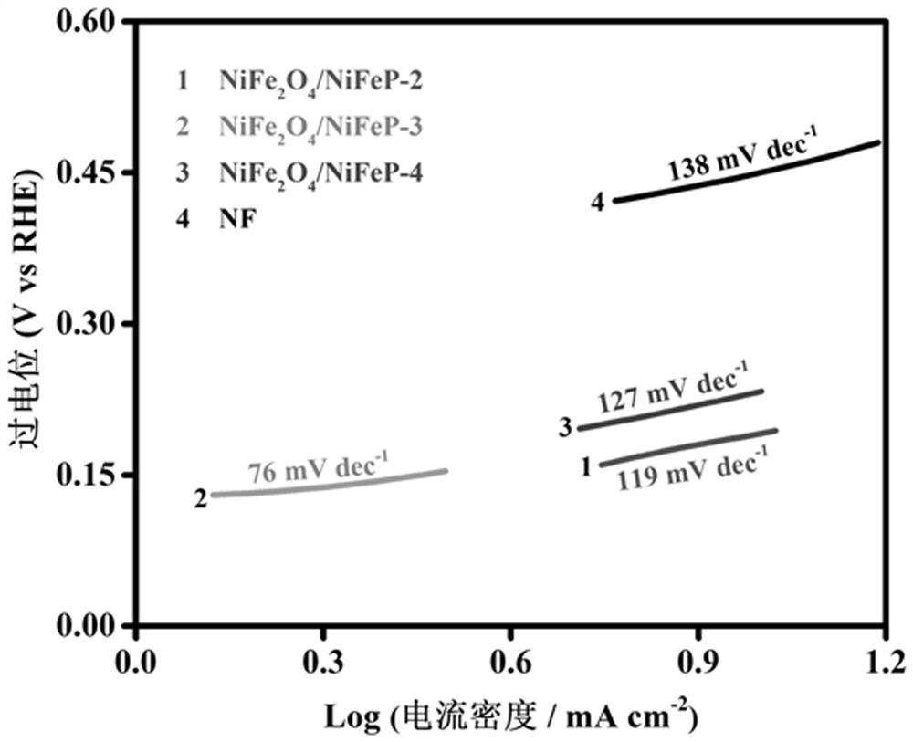 Efficient oxygen evolution electrocatalyst and preparation method thereof