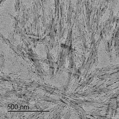 Method for utilizing camellia oleifera abel fruit shells to prepare cellulose nano-crystal whiskers