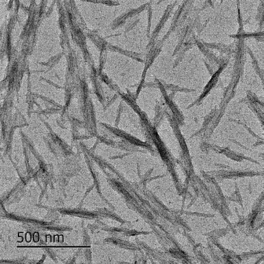 Method for utilizing camellia oleifera abel fruit shells to prepare cellulose nano-crystal whiskers