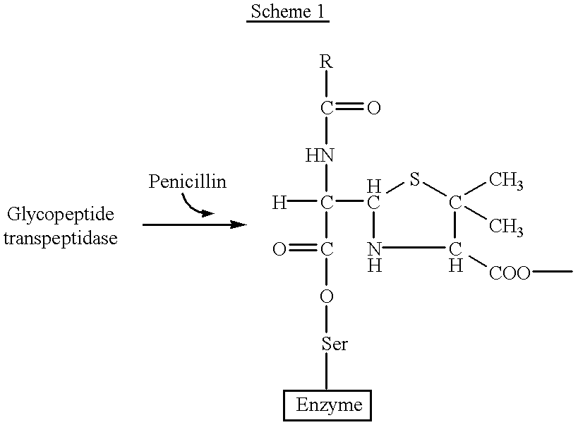 Oxazinones having antibacterial activity