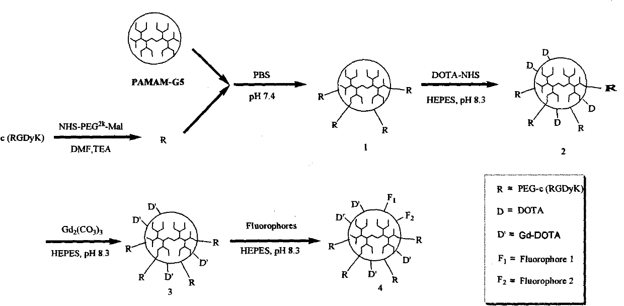 Multi-mode targeted probe for early hepatic fibrosis diagnosis and preparation method thereof