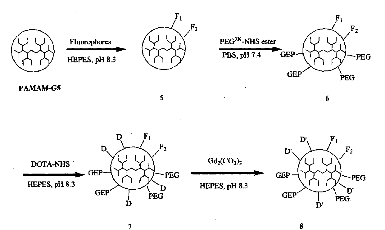 Multi-mode targeted probe for early hepatic fibrosis diagnosis and preparation method thereof