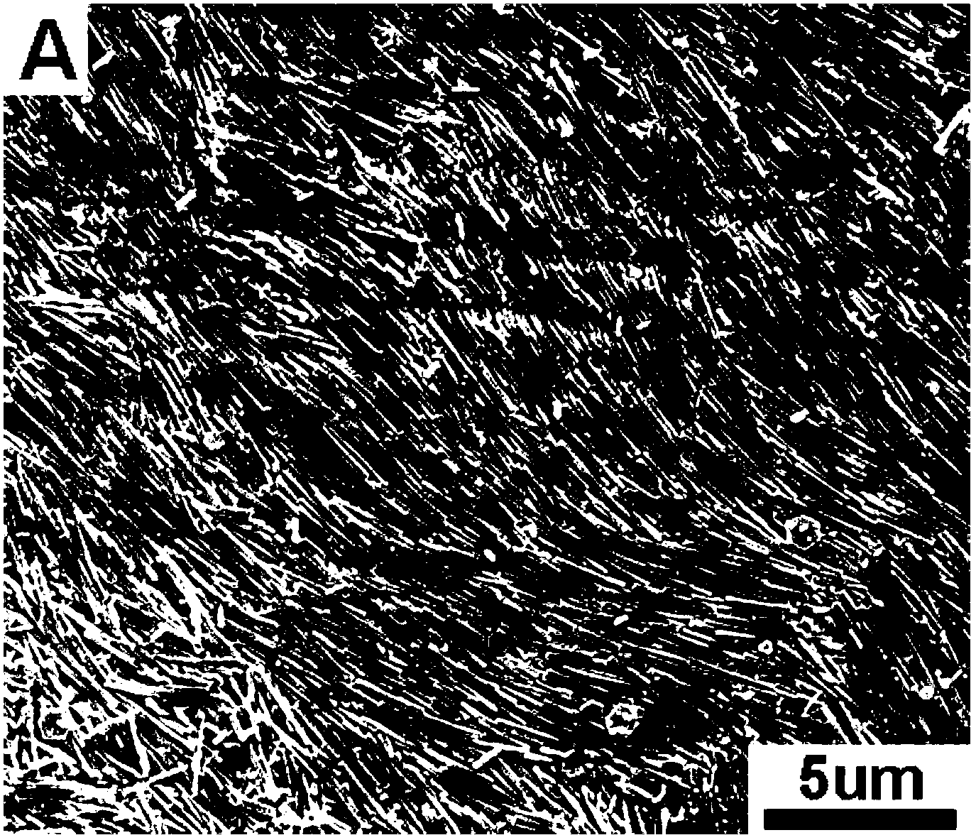 Preparation method of rod-shaped AgBr nanometer material