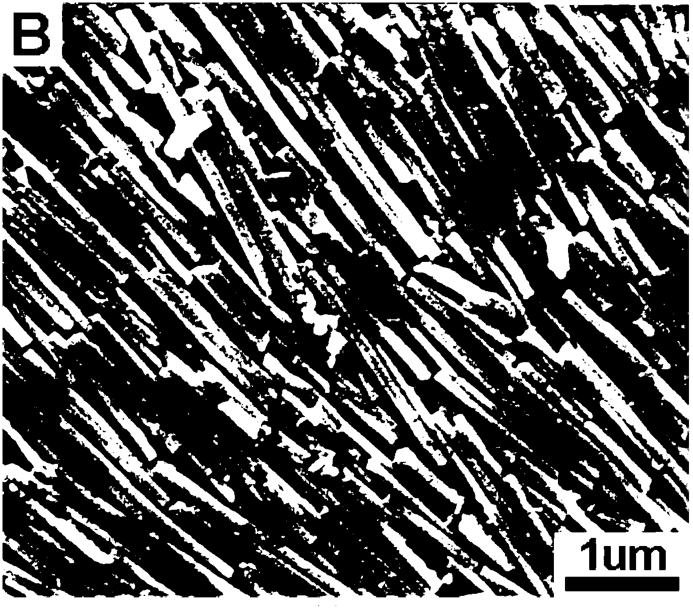 Preparation method of rod-shaped AgBr nanometer material