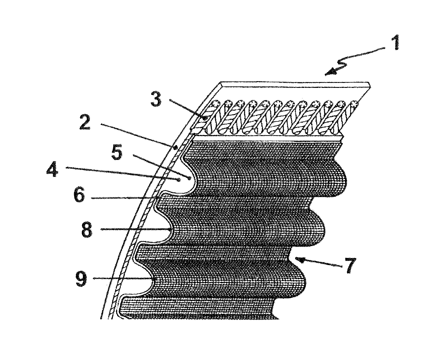 Belt having a tension member, in particular a carbon tension member, which is prepared with a cross-linked polyurethane, and preparation method