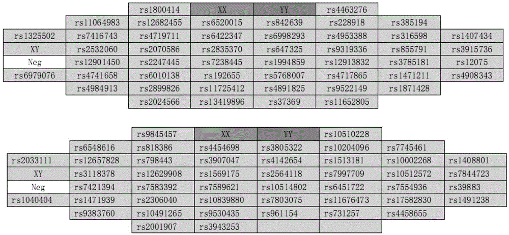 Method and system used for deducing Han, Tibetan or Wei population source of individual with unknown source