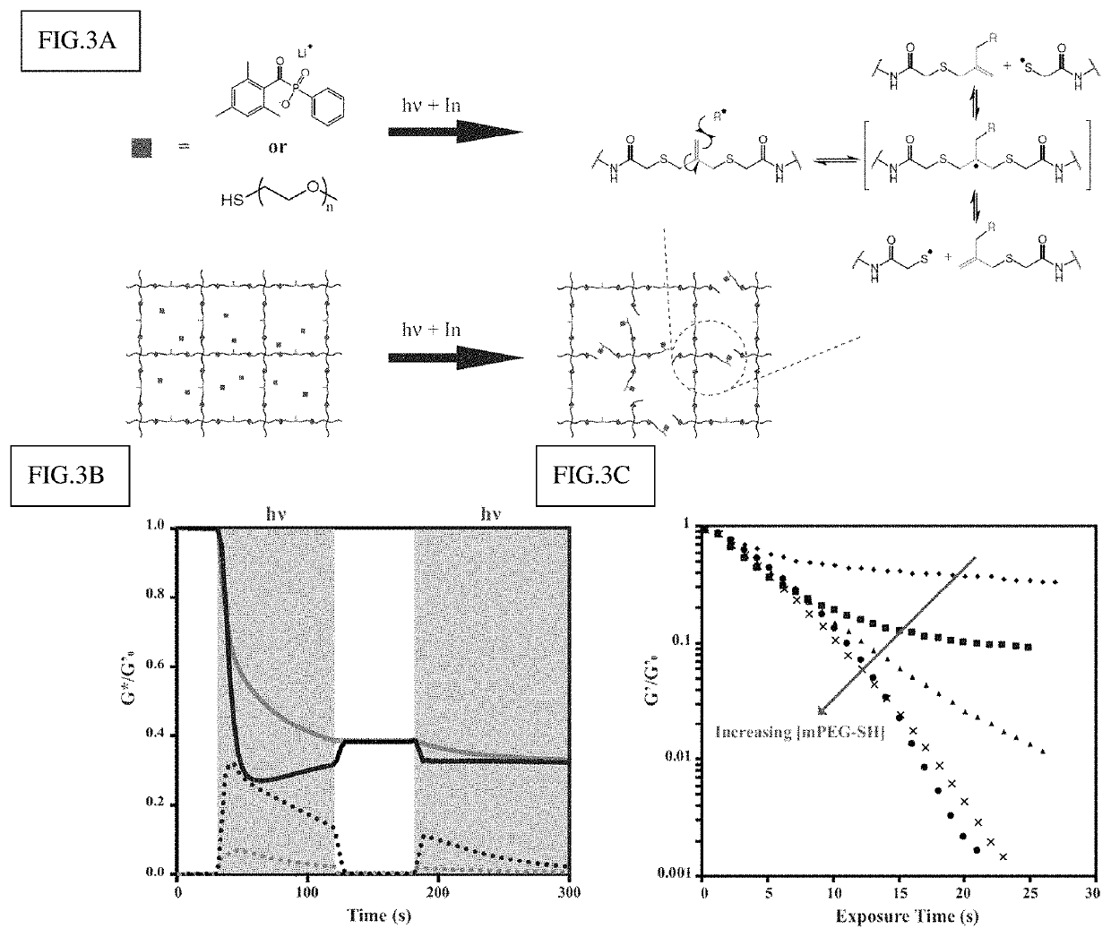 Amplified photodegradation of hydrogels and methods of producing the same