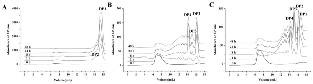 Alginate lyase alypl17, truncated body and application thereof