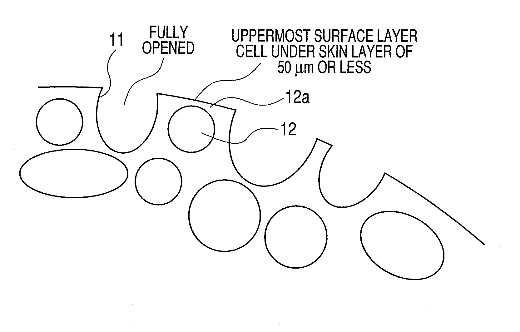 Toner supplying roller, developing apparatus, and image forming apparatus