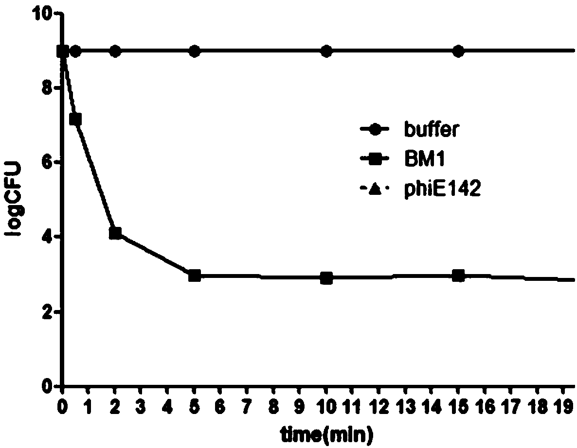 A kind of Escherichia coli lyase and its preparation method and application