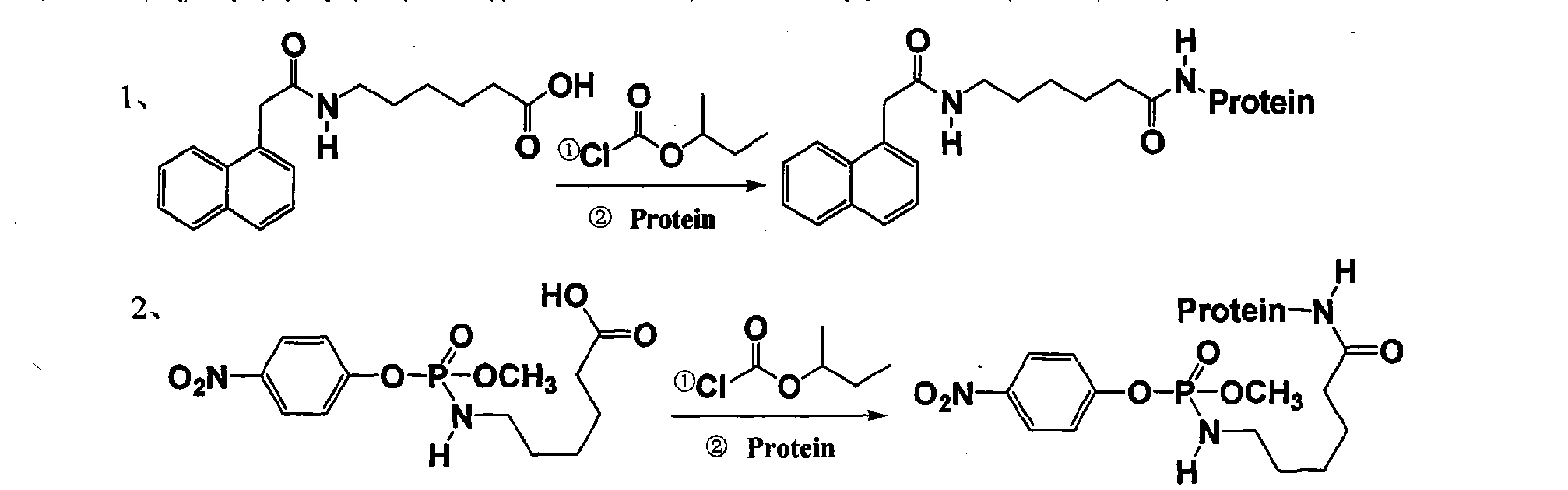 Preparation of carbaryl and methyl parathion universal antibody and universal envelope antigen