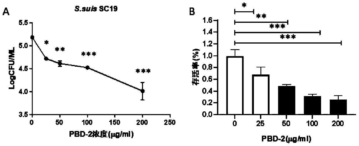 Application of porcine beta-defensin 2 peptide fragment to preparation of medicine composition for preventing and treating streptococcus suis infection