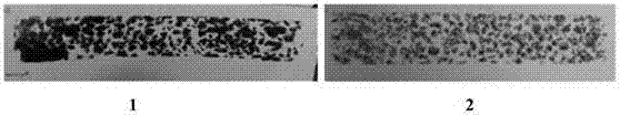 Easily-prepared anti-adhesive emulsified asphalt achieving normal-temperature rapid demulsification and preparation method thereof