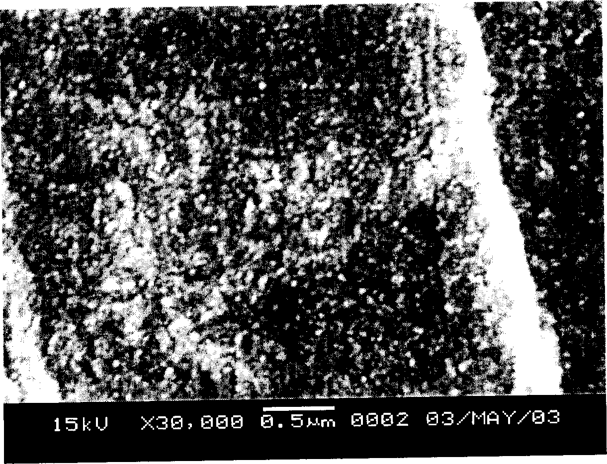 Method for preparing nano particle modified chemical fibre