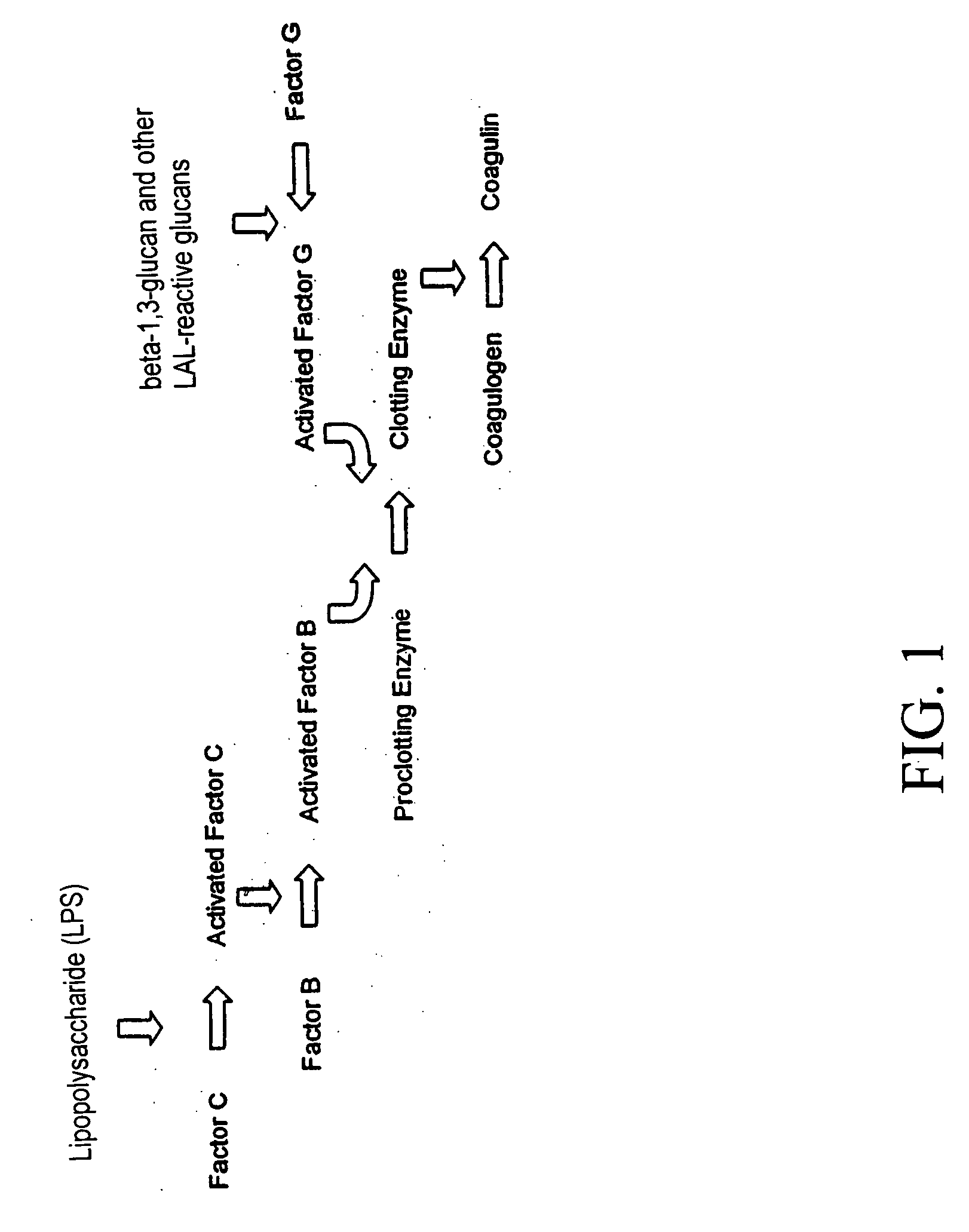 Method for classifying a microorganism in a biological sample