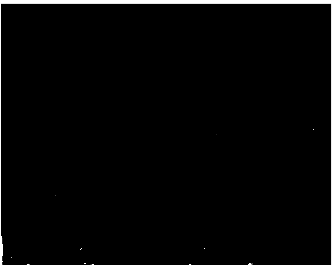 Polylactic acid (PLA) derivative macromolecular drug carrier material