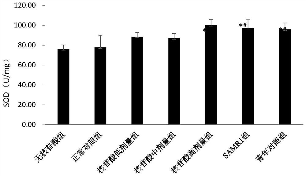 Application of nucleotide mixture in preparing preparations for preventing or alleviating senile sarcopenia