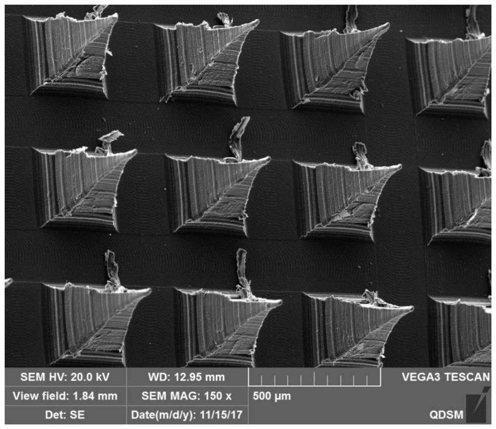 A kind of microneedle patch and preparation method thereof