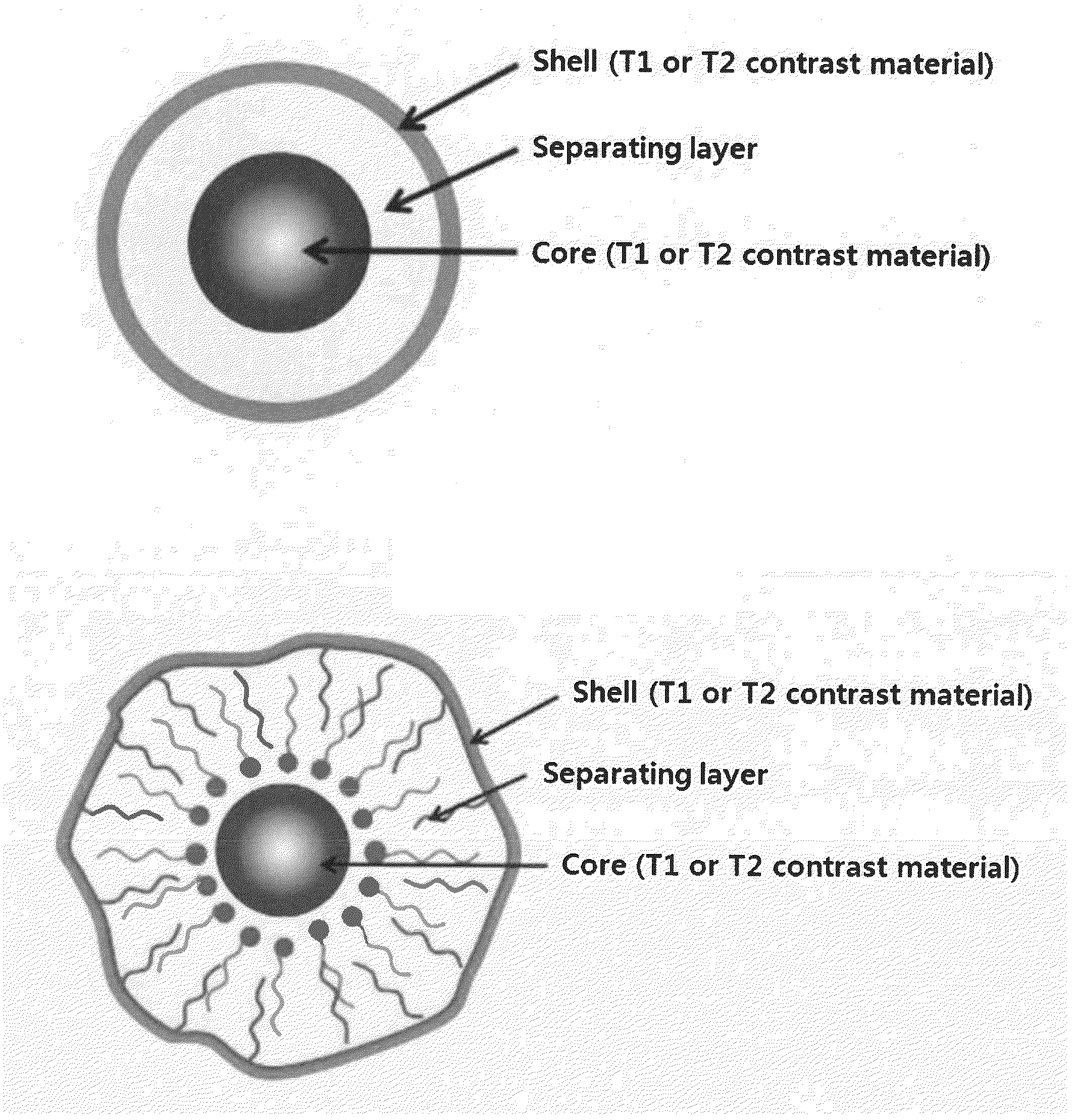 T1-T2 Dual Modal MRI Contrast Agents